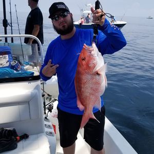 Meet your Posher, Brandon